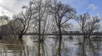 World Bank climate finance reaches record $42.6 bln in fiscal 2024 World Bank climate finance reaches record $42.6 bln in fiscal 2024