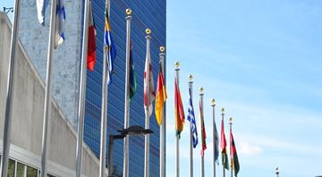 Companies urged to pay into new UN fund to help protect nature Companies urged to pay into new UN fund to help protect nature