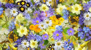 Antioxidants in fruits and flowers seem to counteract harmful effects of microplastics, study shows Antioxidants in fruits and flowers seem to counteract harmful effects of microplastics, study shows