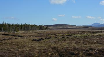 Peatland burning ban aims to protect wildlife and England’s carbon stores Peatland burning ban aims to protect wildlife and England’s carbon stores