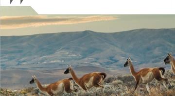 New OECD report on Biodiversity and Development Finance 2015-2022: Contributing to Target 19 of the Kunming-Montreal Global Biodiversity Framework New OECD report on Biodiversity and Development Finance 2015-2022: Contributing to Target 19 of the Kunming-Montreal Global Biodiversity Framework