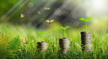 Germany to pump more than 50 bln euros into climate fund - sources Germany to pump more than 50 bln euros into climate fund - sources