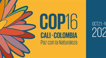 World lags on 2030 nature goals headed into UN COP16 talks World lags on 2030 nature goals headed into UN COP16 talks