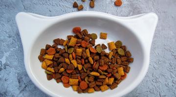 UK first European country to approve lab-grown meat, starting with pet food