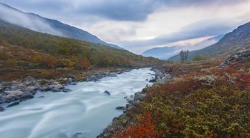 Record number of dams removed from Europe’s rivers in 2021 Record number of dams removed from Europe’s rivers in 2021