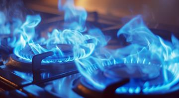 Wood burning and gas cooking hugely costly to healthcare systems, New Zealand study finds Wood burning and gas cooking hugely costly to healthcare systems, New Zealand study finds
