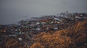 Single-use plastic waste on UK and Channel Island beaches ‘up by 9.5% last year’ Single-use plastic waste on UK and Channel Island beaches ‘up by 9.5% last year’