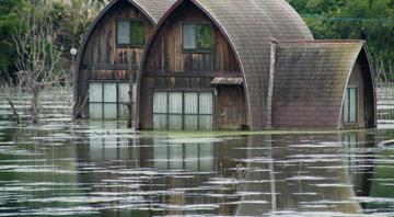German election: Climate and environment take a back seat German election: Climate and environment take a back seat