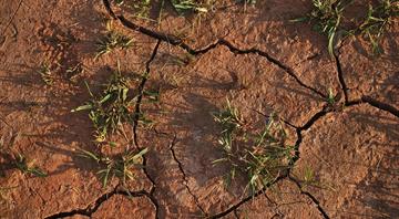 Central banks told to prepare for climate shock to labour market
