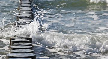 ‘All threats to the sea come from humans’: how lawyers are gearing up to fight for the oceans