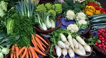 How Abu Dhabi is cutting down food loss and waste