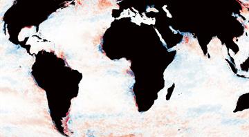 Planet’s darkening oceans pose threat to marine life, scientists say Planet’s darkening oceans pose threat to marine life, scientists say
