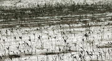 Exclusive: UN calls for $2.6 trillion investment to reverse land degradation Exclusive: UN calls for $2.6 trillion investment to reverse land degradation