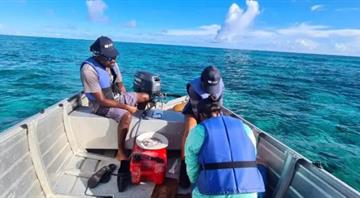 UNESCO maps 4,500 marine species under eDNA programme UNESCO maps 4,500 marine species under eDNA programme