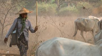 Financial toll of climate crisis hitting women harder, UN says