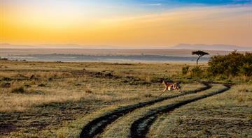 Exclusive: African countries eye world’s first joint 'debt-for-nature' swap Exclusive: African countries eye world’s first joint 'debt-for-nature' swap