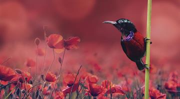 UK will need to double nature protection funding to meet targets, new data shows UK will need to double nature protection funding to meet targets, new data shows
