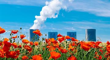 New carbon credit scheme targets 60 plants by 2030 for coal phaseout New carbon credit scheme targets 60 plants by 2030 for coal phaseout