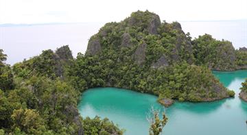 Race to mine metals for EV batteries threatens marine paradise