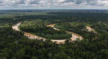 Exclusive: Brazil's Lula announces $1 billion investment in global forest fund Exclusive: Brazil's Lula announces $1 billion investment in global forest fund