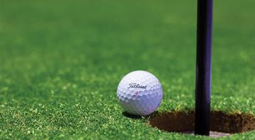 The rewilded golf courses teeming with life The rewilded golf courses teeming with life