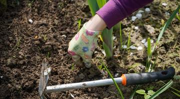 EPA again OKs use of toxic herbicide linked to Parkinson’s disease