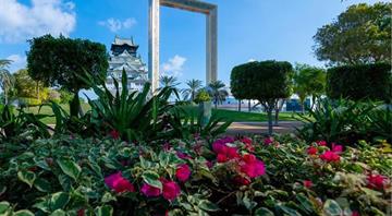 Dubai Municipality plants 216,500 trees including neem, olive, Indian jasmine Dubai Municipality plants 216,500 trees including neem, olive, Indian jasmine