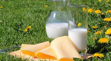 Dairy companies ‘turning blind eye’ to global methane emissions, report suggests Dairy companies ‘turning blind eye’ to global methane emissions, report suggests