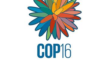 UN biodiversity summit chief: Make peace with nature or risk more war UN biodiversity summit chief: Make peace with nature or risk more war