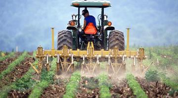 Climate crisis leaves European farmers vulnerable to far right, say campaigners Climate crisis leaves European farmers vulnerable to far right, say campaigners