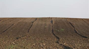 Degradation of land is threat to human life, Saudi government says Degradation of land is threat to human life, Saudi government says