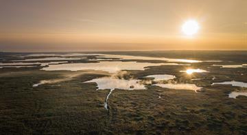 World risks up to $39 trillion in economic losses from vanishing wetlands, report says World risks up to $39 trillion in economic losses from vanishing wetlands, report says
