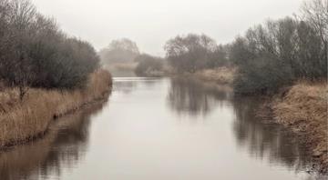 Global river flows hit all-time lows in 2023, UN says Global river flows hit all-time lows in 2023, UN says