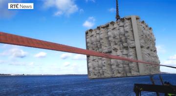 'World-first' project to boost Dublin Port biodiversity