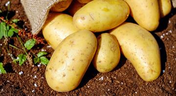 Eating to save nature? Embrace potatoes, ditch meat and track your beans