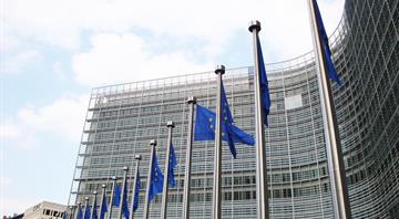 EU brands just four countries as 'high risk' under deforestation law
