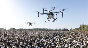 Drone swarms could stop wildfires, researchers say Drone swarms could stop wildfires, researchers say