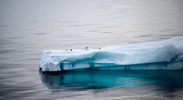 First Ice-Free Day in Arctic Ocean Could Arrive This Decade, Study Finds First Ice-Free Day in Arctic Ocean Could Arrive This Decade, Study Finds