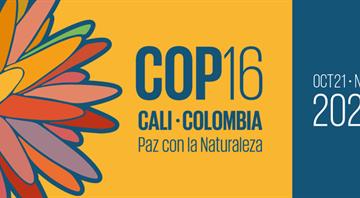 About 80% of countries fail to submit plans to preserve nature ahead of global summit About 80% of countries fail to submit plans to preserve nature ahead of global summit