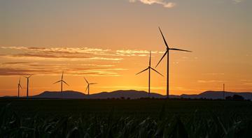 Climate solutions that spread fast? This is how it could happen Climate solutions that spread fast? This is how it could happen