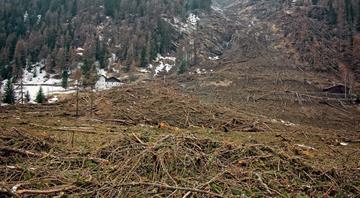 Indonesia, Malaysia, EU work on guide for smallholders on EU deforestation rules Indonesia, Malaysia, EU work on guide for smallholders on EU deforestation rules