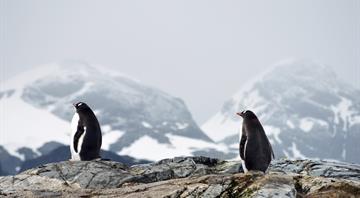 ‘Simply mind-boggling’: world record temperature jump in Antarctic raises fears of catastrophe