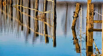 Climate change and pollution threaten Europe's resources, EU warns Climate change and pollution threaten Europe's resources, EU warns