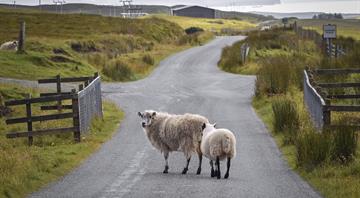 Scotland’s pledge to cut emissions by 75% by 2030 ‘no longer credible’