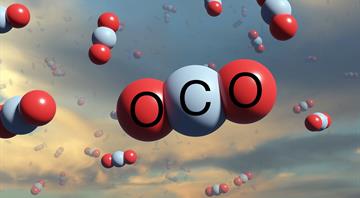 Policy push for carbon removal credits lures finance, aviation