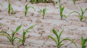 Morocco invests in desalination, waterways to mitigate drought