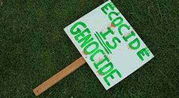 What is ecocide and could it become a crime under international law? What is ecocide and could it become a crime under international law?