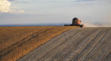 Brazil agencies clash over soy moratorium, raising risks for traders