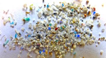 Microplastics are infiltrating brain tissue, studies show: ‘There’s nowhere left untouched’ Microplastics are infiltrating brain tissue, studies show: ‘There’s nowhere left untouched’