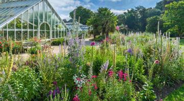 ‘The risk of extinction is accelerating’: world’s botanic gardens raise alarm with space to protect endangered plants running out ‘The risk of extinction is accelerating’: world’s botanic gardens raise alarm with space to protect endangered plants running out